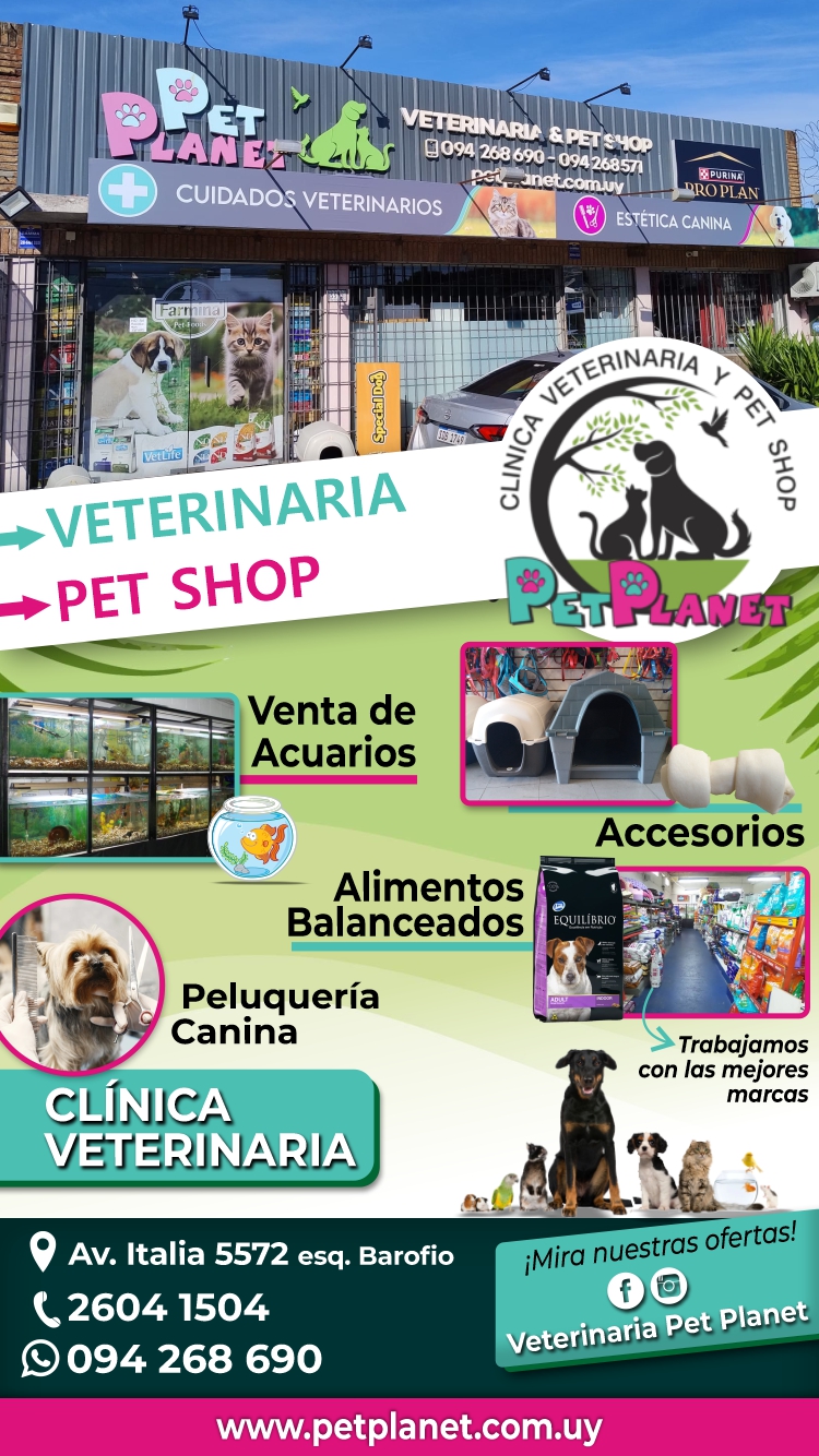 veterinaria en carrasco